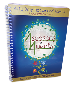 4s4w Daily Tracker and Journal: a Companion Guide